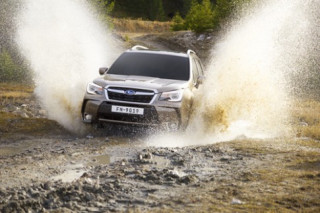  Subaru Forester dành cho đàn ông trung niên 