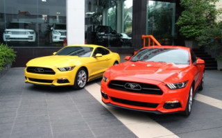  Cặp đôi Mustang kỷ niệm 50 năm đầu tiên về Việt Nam 