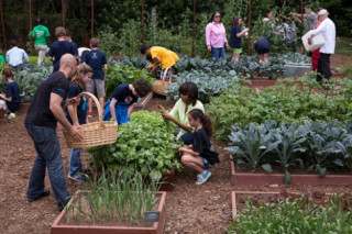 Bà Obama cùng các em nhỏ chăm sóc khu vườn rau