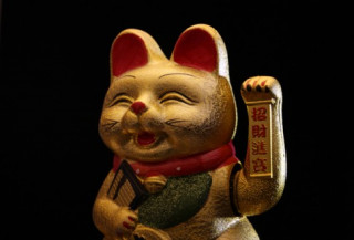 Những bí mật thú vị về chú mèo Thần tài Nhật Bản