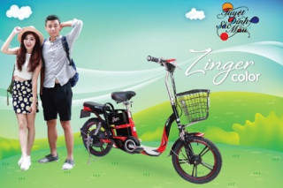  Sắc màu độc đáo cho xe đạp điện Zinger Color 