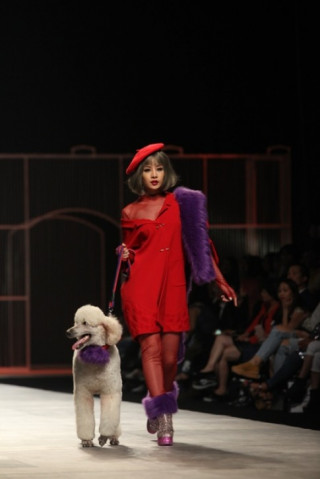 Chi Pu hờ hững vai trần dắt chó 1000 USD lên sàn catwalk