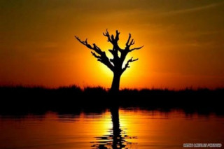 Khám phá ‘viên ngọc thô’ Myanmar