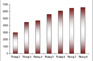  Thị trường ôtô tăng tháng thứ 7 liên tiếp 