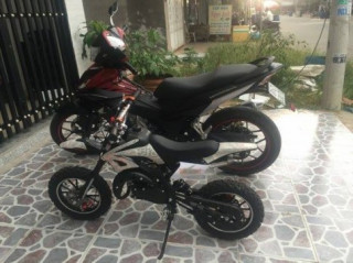 Bộ đôi Winner 150 và cào cào nhí khoe dáng
