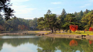 Lạc giữa ngôi làng thần tiên ở Nhật Bản