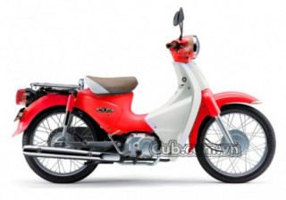 Xe cub 81, 82 TAYA