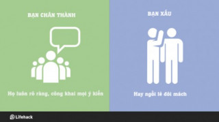 Nếu bạn chưa biết, ai là đồng nghiệp, là bạn tốt thì đây chính là đặc điểm để nhận ra