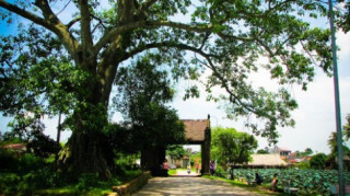 Check-in vùng quê yên bình, đẹp ngơ ngẩn trong phim Tuổi thanh xuân 2