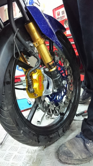 Chất lượng của heo RPM ?