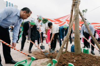  Toyota chung tay xanh hóa học đường 
