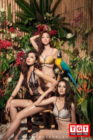 Đồng Ánh Quỳnh The Face nóng bỏng trong mẫu bikini mới nhất của Vân Anh Scarlet