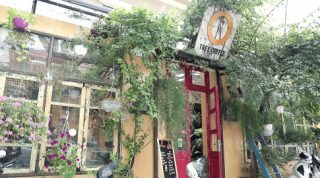 Lạc vào quán café đẹp như vườn cổ tích ở Hà Nội