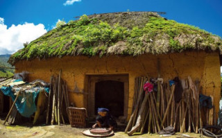 Lên núi Muối không nhặt muối