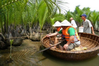  Sắp thu phí tham quan rừng dừa Bảy Mẫu ở Hội An	