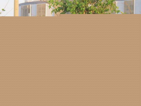 Wave Alpha dọn lên phong cách Wave Thái 110 đầy cá tính