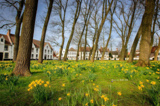 Đắm chìm trong nét êm đềm tại Bruges - Venice của phương Bắc