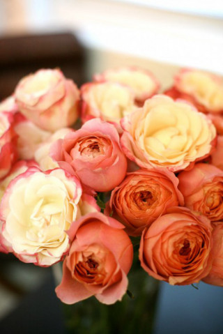 Hoa đẹp 20-10: Cắm hoa Hồng để chồng thêm yêu