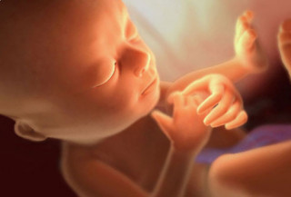 Chuyện ly kỳ về những em bé chào đời từ tinh trùng người cha đã chết