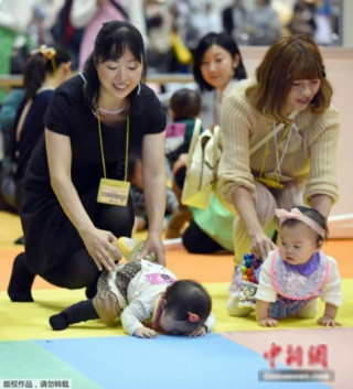 Thú vị cuộc thi bò dành cho trẻ sơ sinh ở Nhật
