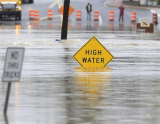  Ảnh vui giao thông thế giới (phần 23) 