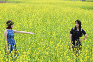 Chà đạp lên cái đẹp để được…đẹp?