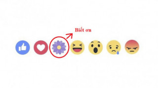 Facebook mang biểu tượng bông hoa “Biết ơn” trở lại ở nút like thần thánh