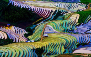 Nếu mê những con đèo uốn lượn của Tây Bắc, trở về từ Mù Cang Chải, bạn nhớ đi chinh phục Khau Phạ