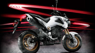 Xe côn tay Honda MSX125 2015 công bố giá