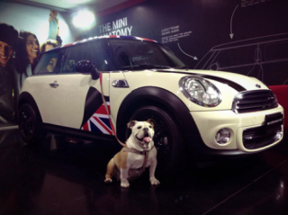  Mini Cooper Baker Street khoác ‘áo mới’ mùa Giáng sinh 