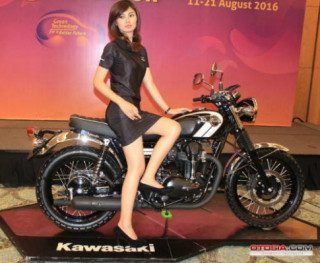 Ra mắt Kawasaki W800 giá 423,5 triệu đồng