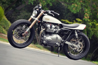 Triumph Bonneville 2004 trẻ trung hơn trong bản độ kiểu street tracker