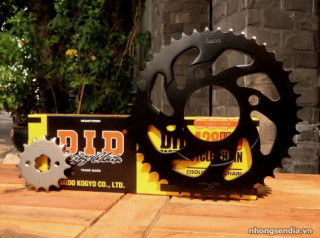 Thay nhông dĩa Recto cho Winner 150 có tốt không?