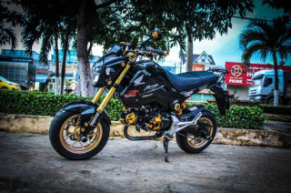 Bé hạt tiêu MSX125 độ khiến các đàn anh xe to phải ngước nhìn