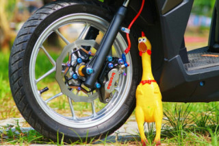 Vario 150 độ option đồ chơi hoàng tộc đáng yêu bên chú gà trống cổ dài