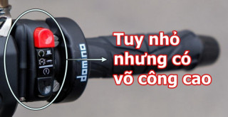 Lợi hại của cùm đề máy Domino nằm ở đâu ???