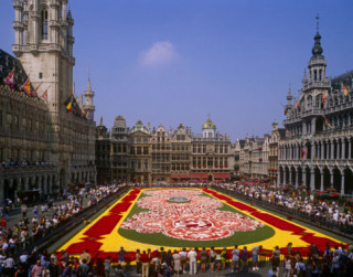 Choáng ngợp thảm hoa 700.000 bông phủ kín quảng trường