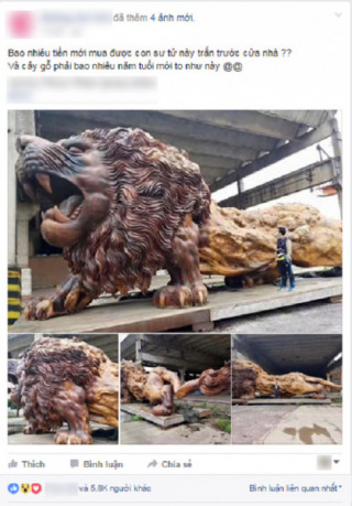 Sự thật ngỡ ngàng đằng sau bức tượng sư tử gỗ khổng lồ đang “nổi như cồn” trên MXH