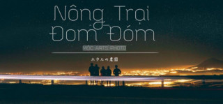 Bắt sao trên trời cực dễ trên ngọn đồi ‘ đom đóm ’ ở Đà Lạt