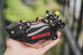Cận cảnh heo dầu Accossato billet 4pis đối xứng mới về Việt Nam