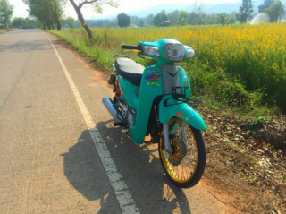Honda Cub Fi độ khoe sắc bên con đường hoa vàng rực