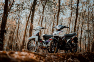 Wave Zx huyền thoại khoe dáng trong rừng cây