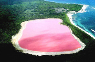 Đẹp ngỡ ngàng hồ hồng ở Úc