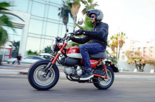 Honda Monkey nhận ‘lệnh triệu hồi’ gần 650 xe do lỗi phụ kiện