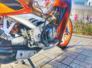 Su Xì Po tứ quý 3 sở hữu dàn Combo Billet hơn 100 củ đầy ấn tượng