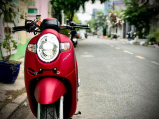 Scoopy bé nhỏ xinh xinh nhưng cũng khá đẹp khi đem đi dọn kiểng