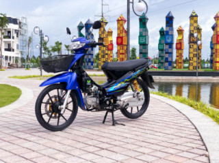 Wave nhỏ sự đơn giản đầy tinh tế trong phong cách dọn kiểng