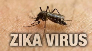 TP.HCM: Số ca mắc Zika tiếp tục tăng mạnh