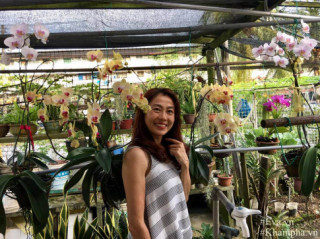 “Đã mắt” với vườn hoa lan hồ điệp ngập sắc của mẹ Việt ở trời Tây