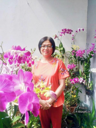 Mê mẩn vườn hoa lan 60 chậu nở rực trên ban công vỏn vẹn 4m² của nữ nhà báo U60